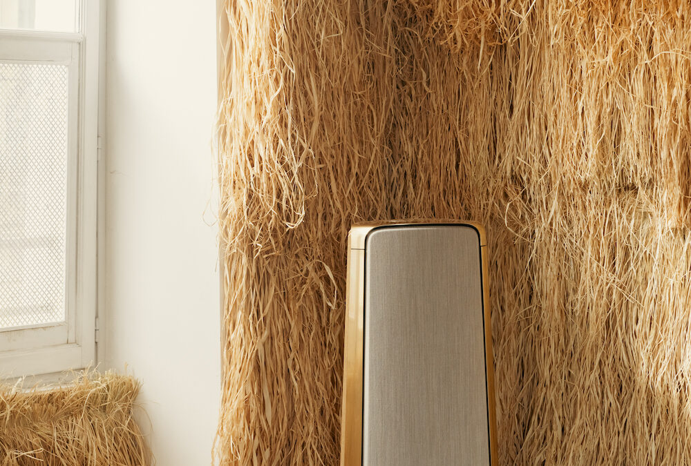 BANG & OLUFSEN