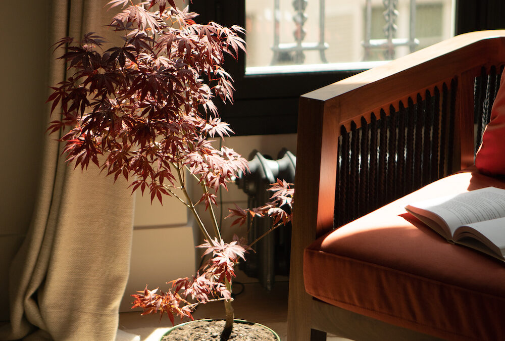 Reda Amalou Design