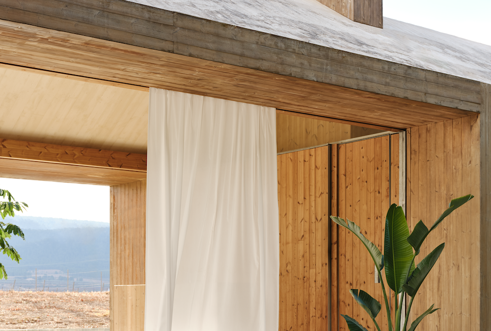 Bolia