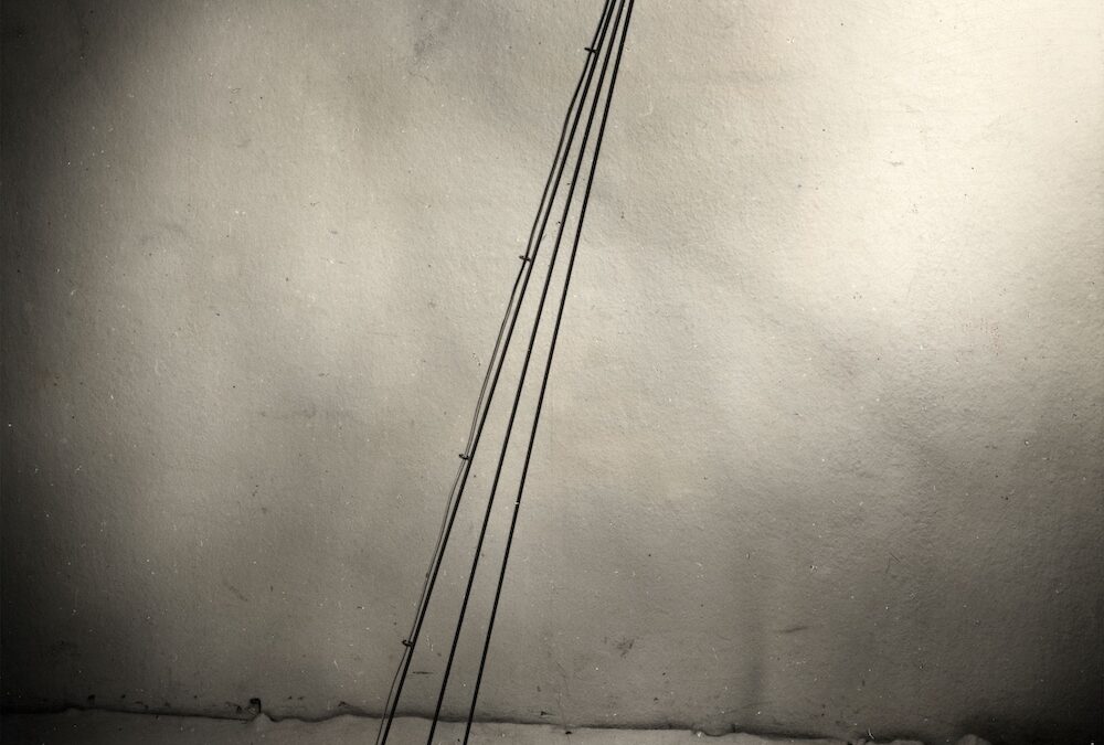 DCW éditions